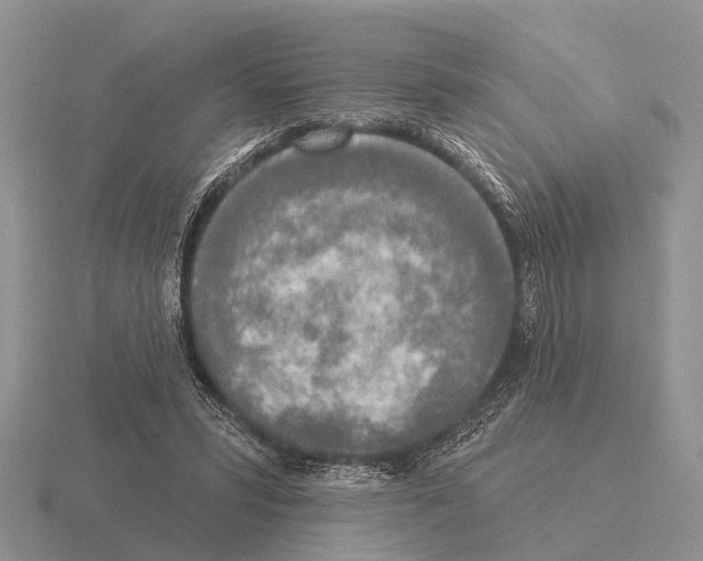 X0000115430399200912161438