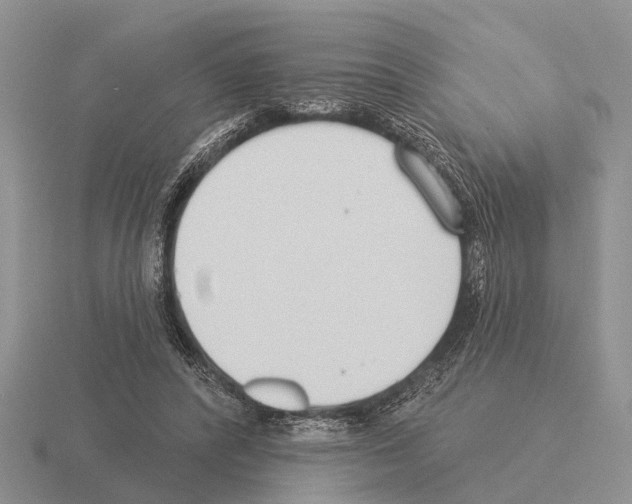 X0000115430400200912161438