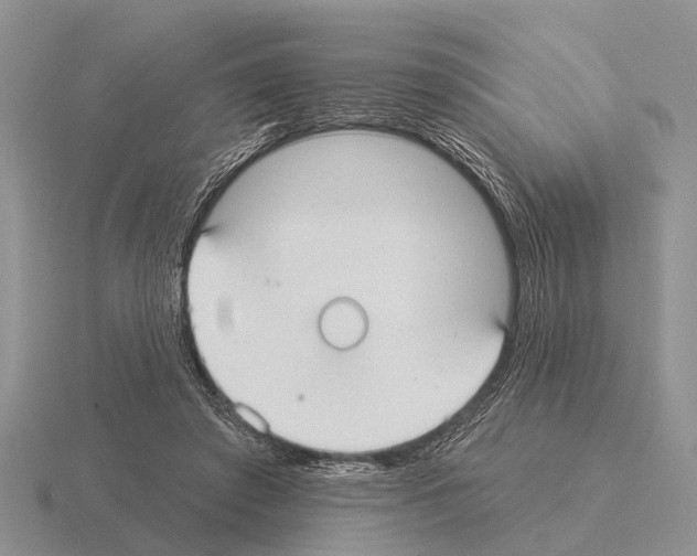 X0000115430401200912161438