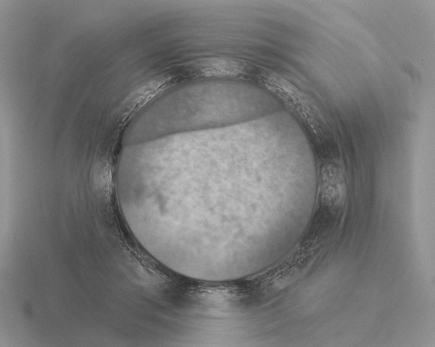 X0000115430405200912161438