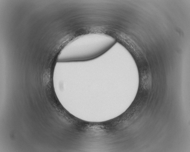 X0000115430407200912161438