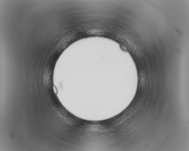 X0000115430408200912161438