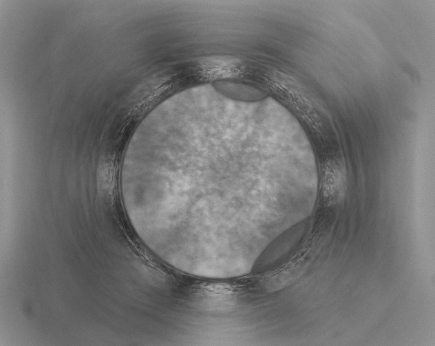 X0000115430409200912161438