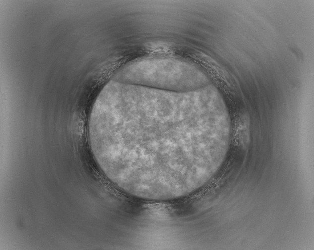 X0000115430417200912161438