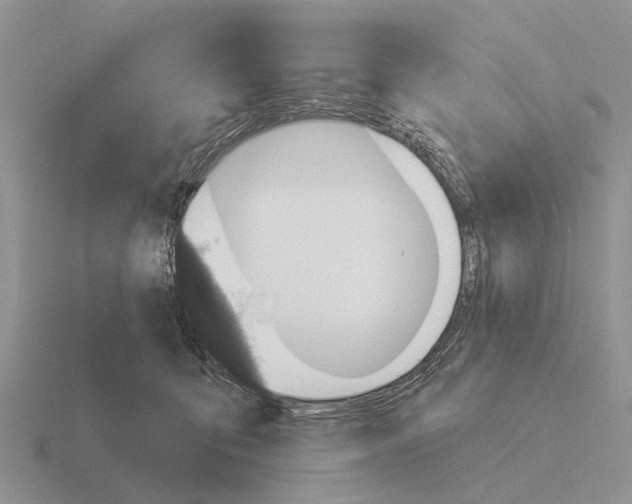 X0000115430419200912161438