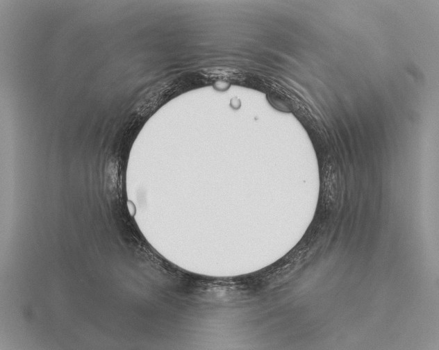 X0000115430420200912161438