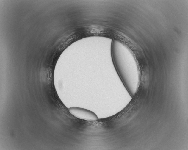 X0000115430421200912161438