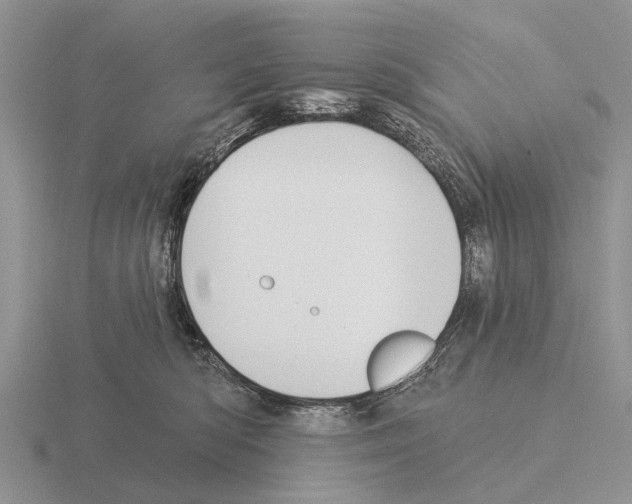 X0000115430422200912161438