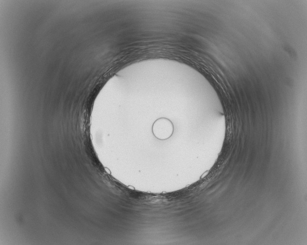 X0000115430424200912161438