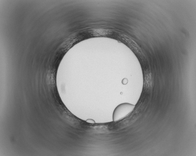 X0000115430426200912161438