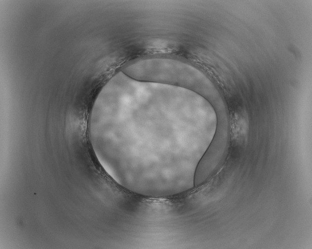 X0000115430427200912161438