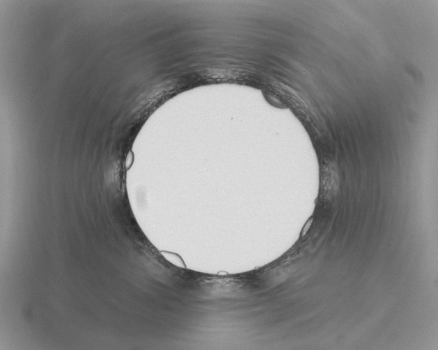 X0000115430428200912161438