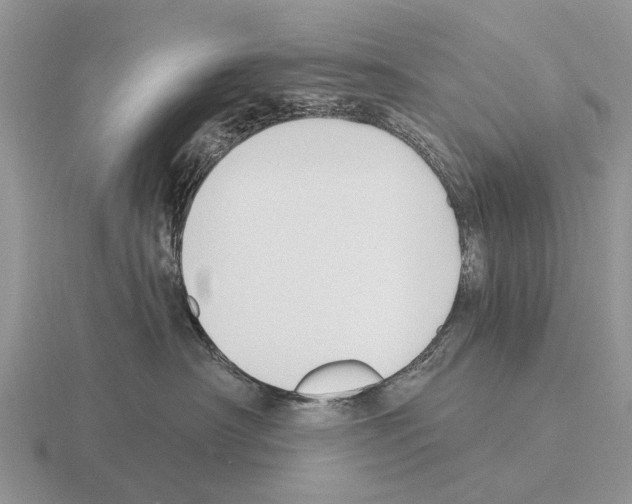 X0000115430430200912161438