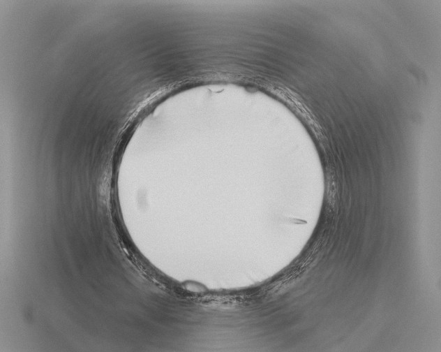 X0000115430434200912161437