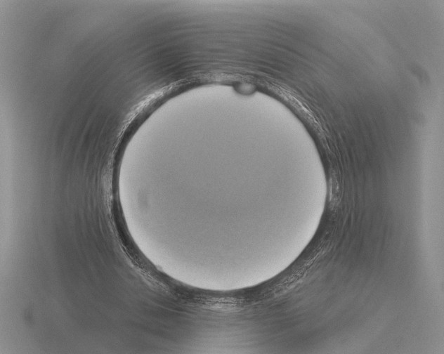 X0000115430438200912161437