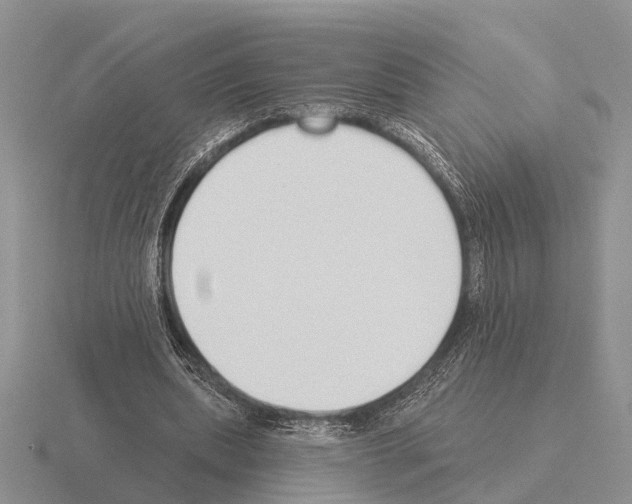 X0000115430439200912161437