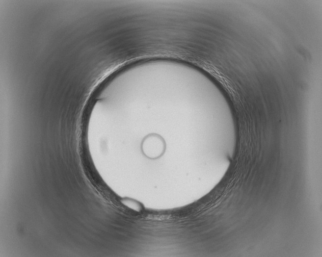 X0000115430440200912161437