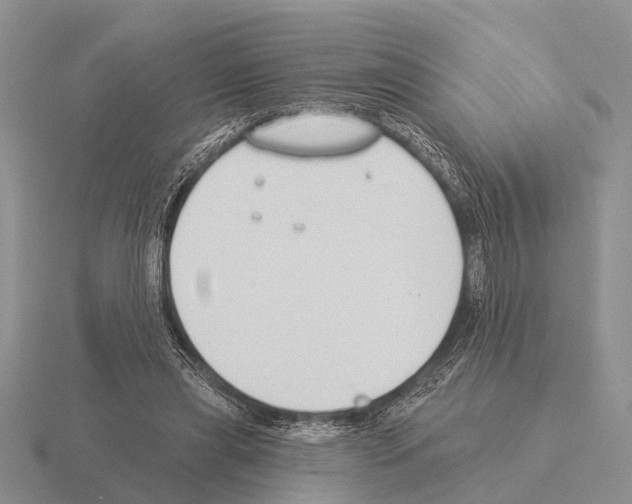 X0000115430445200912161437