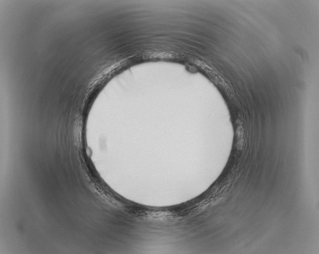 X0000115430446200912161437