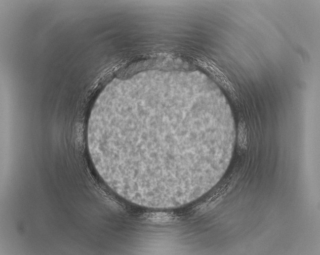 X0000115430449200912161437