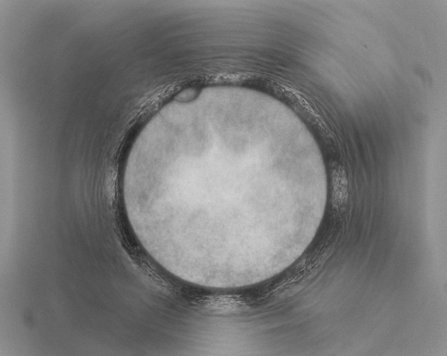 X0000115430451200912161437