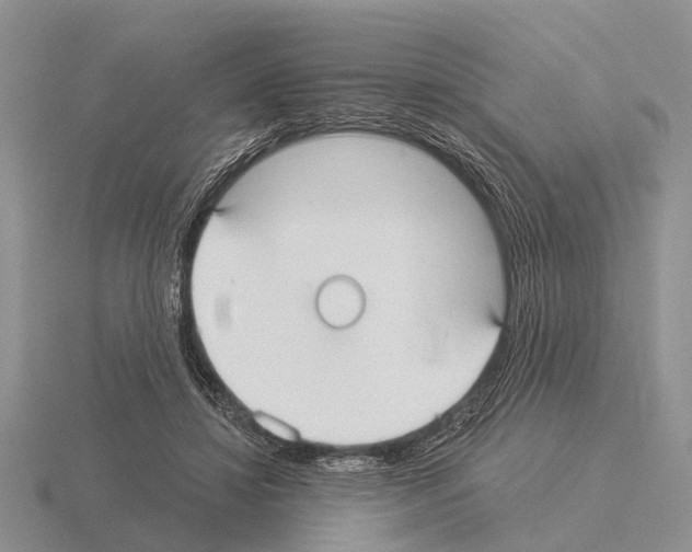 X0000115430452200912161437