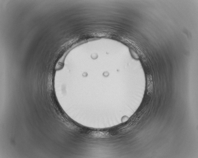 X0000115430453200912161437