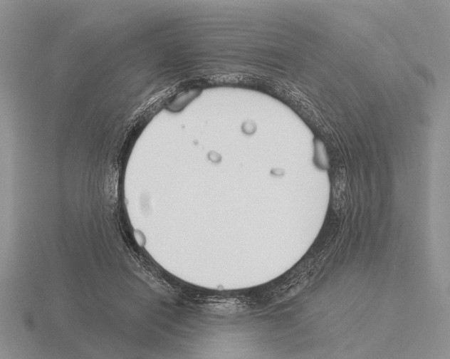 X0000115430454200912161437