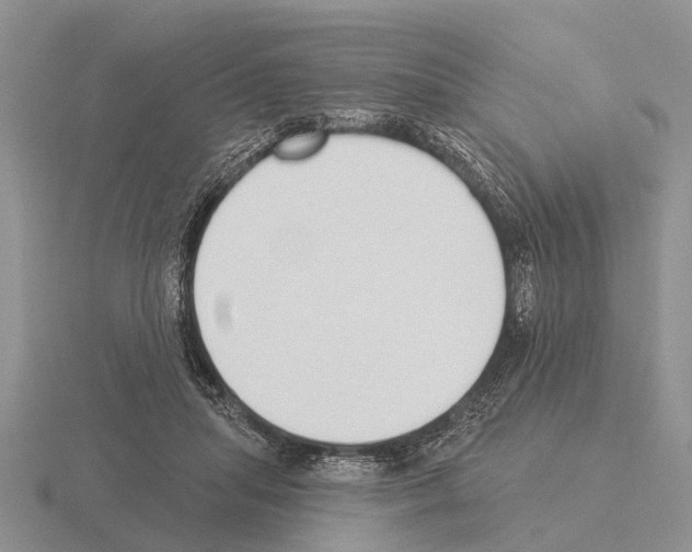 X0000115430455200912161437