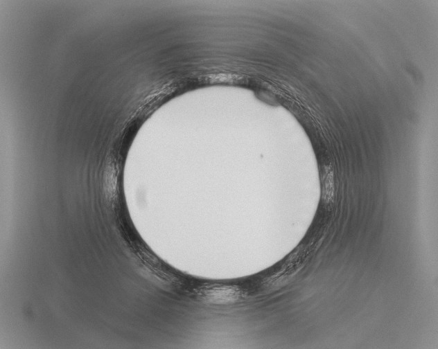 X0000115430456200912161437