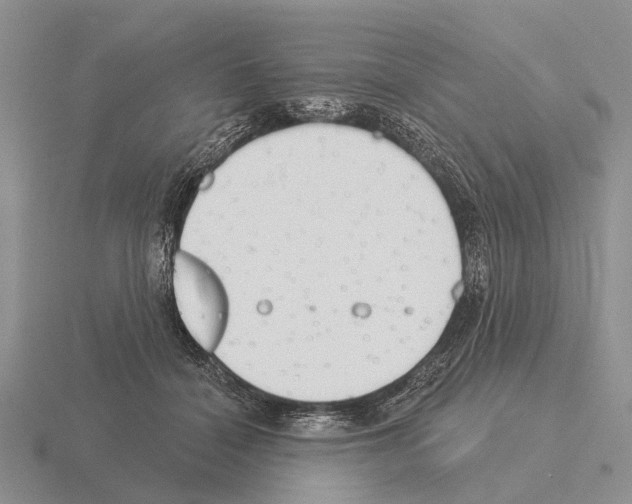 X0000115430460200912161437