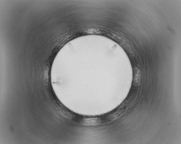 X0000115430461200912161437