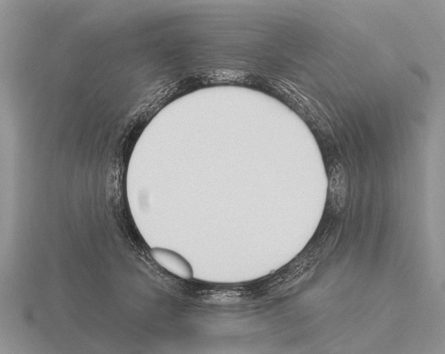 X0000115430462200912161437