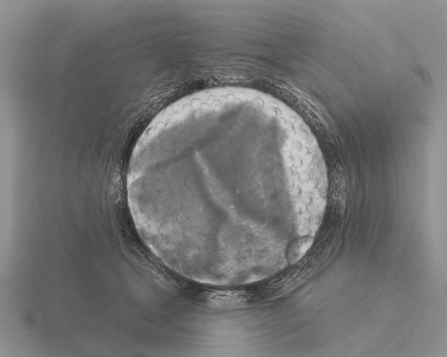 X0000115430465200912161438