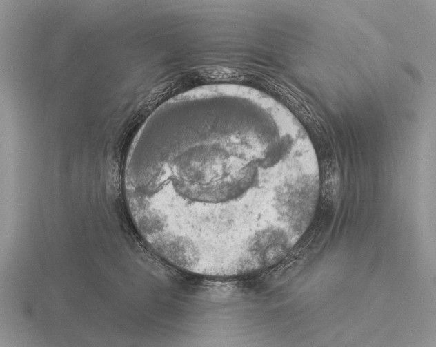 X0000115430469200912161438