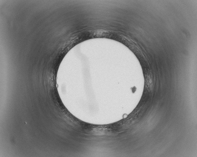 X0000115430470200912161438