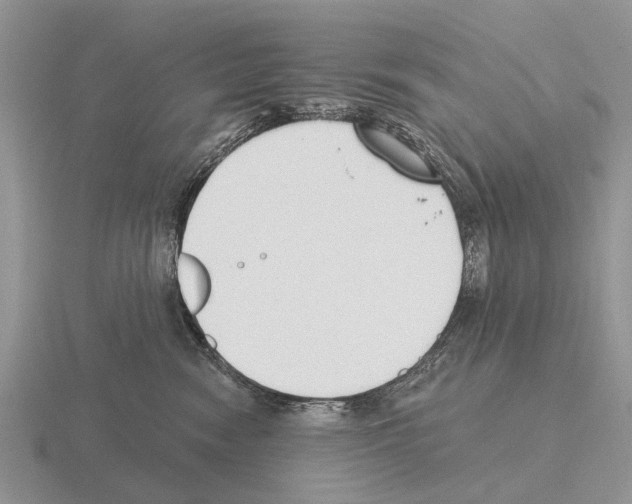 X0000115430474200912161438