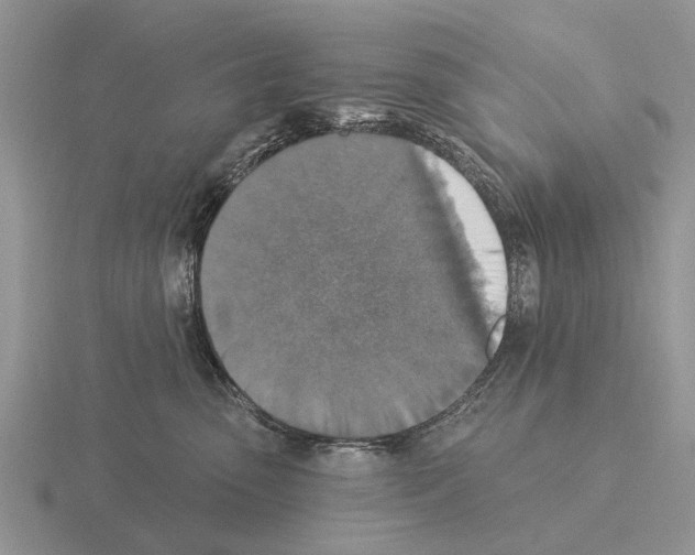 X0000115430475200912161438