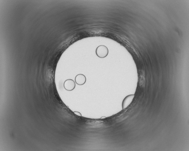 X0000115430476200912161438