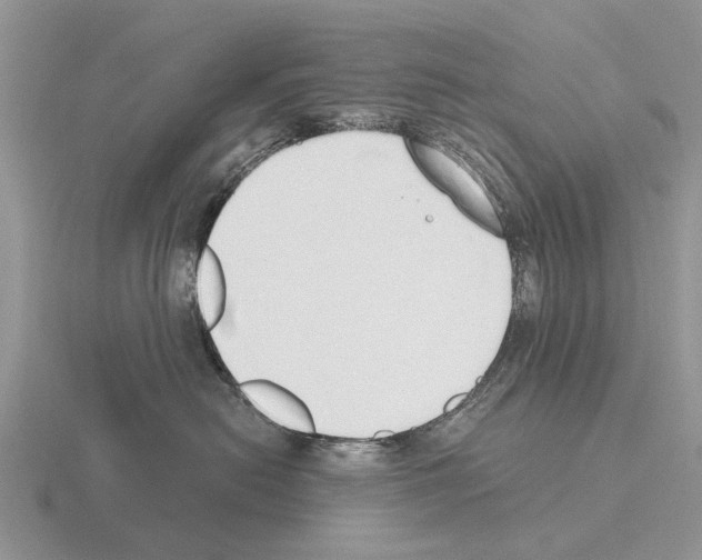 X0000115430478200912161438