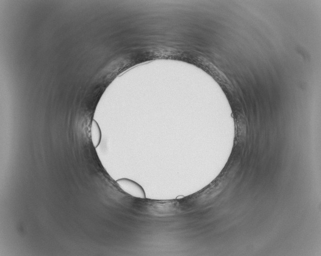 X0000115430479200912161438