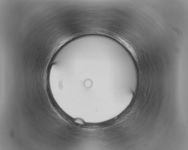 X0000115430485200912161437