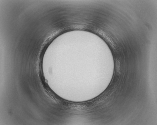 X0000115430486200912161437