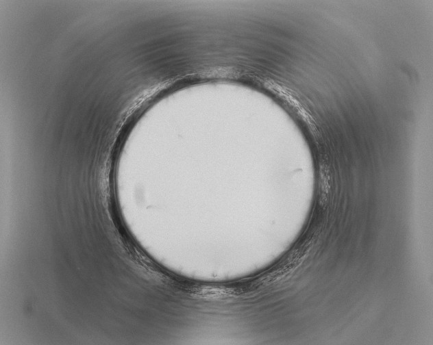 X0000115430487200912161437