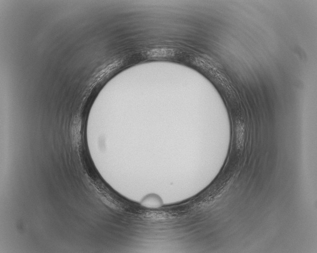 X0000115430490200912161437