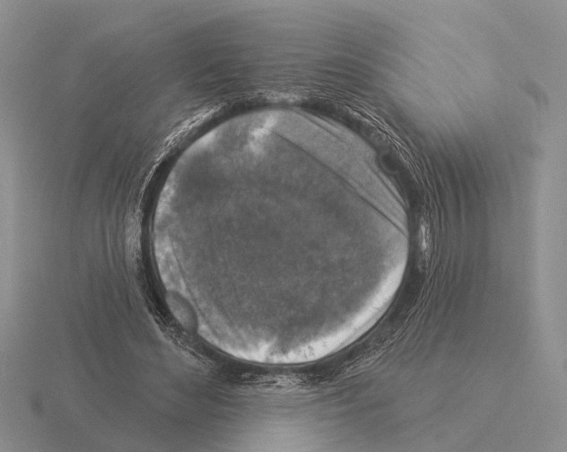 X0000115430492200912161437