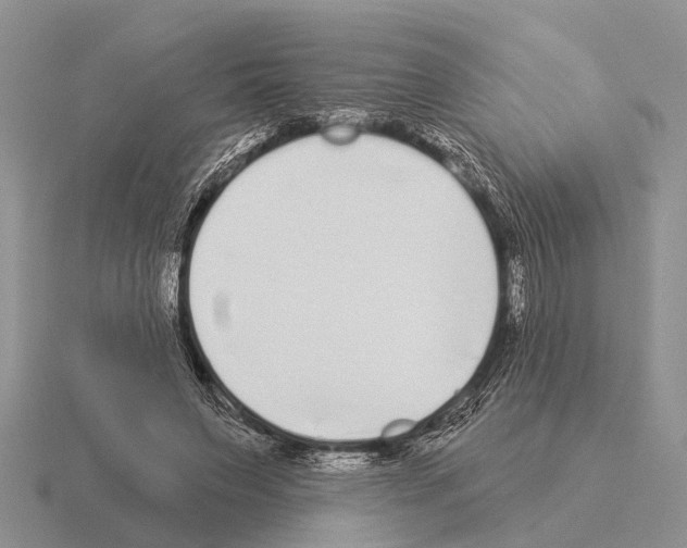 X0000115430495200912161437