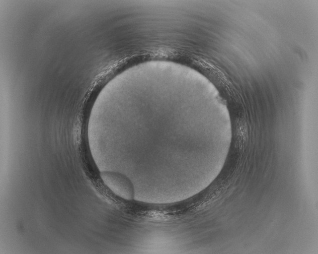 X0000115430496200912161437