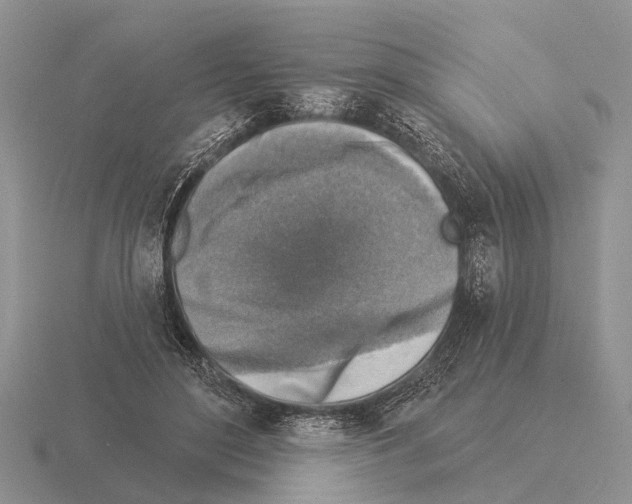 X0000115430500200912161437