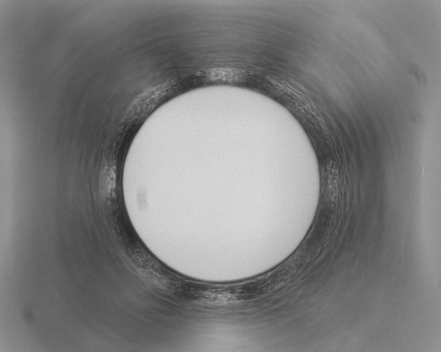 X0000115430502200912161437